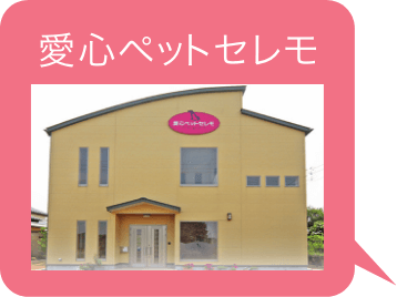 愛心ペットセレモの店舗画像